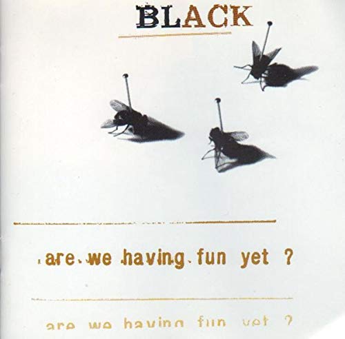 Product Image: Are We Having Fun Yet