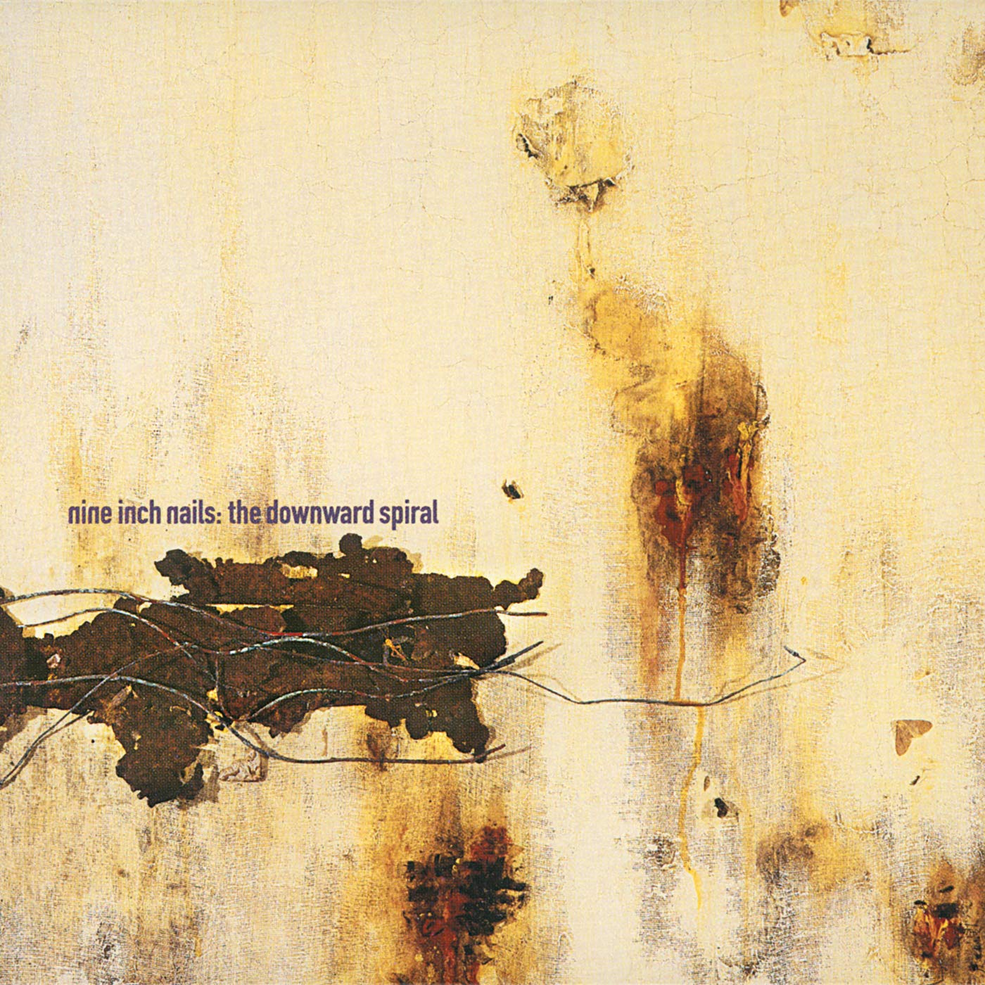 Product Image: The Downward Spiral
