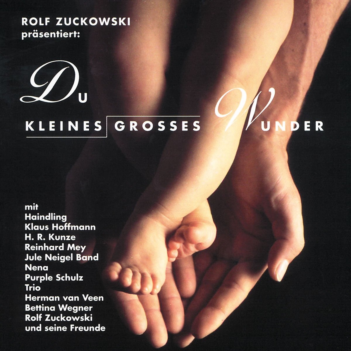 Du kleines großes Wunder. CD Children & Young People Audio Books