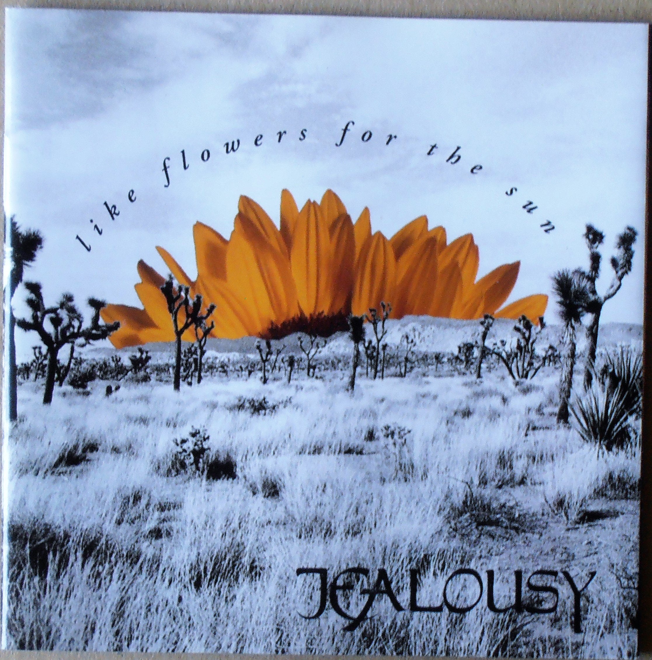 Product Image: Like Flowers for the Sun
