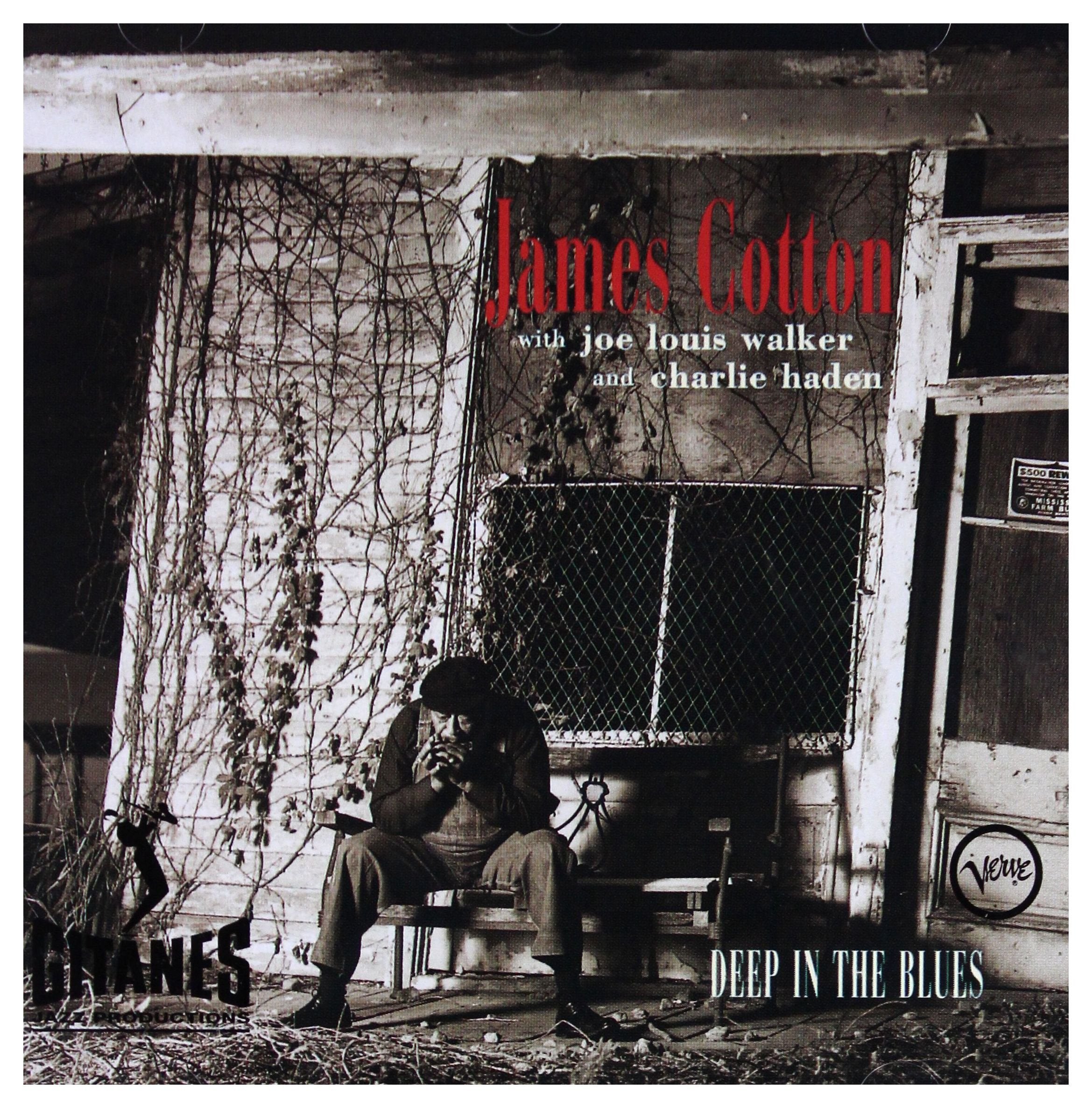 Deep in the Blues Blues