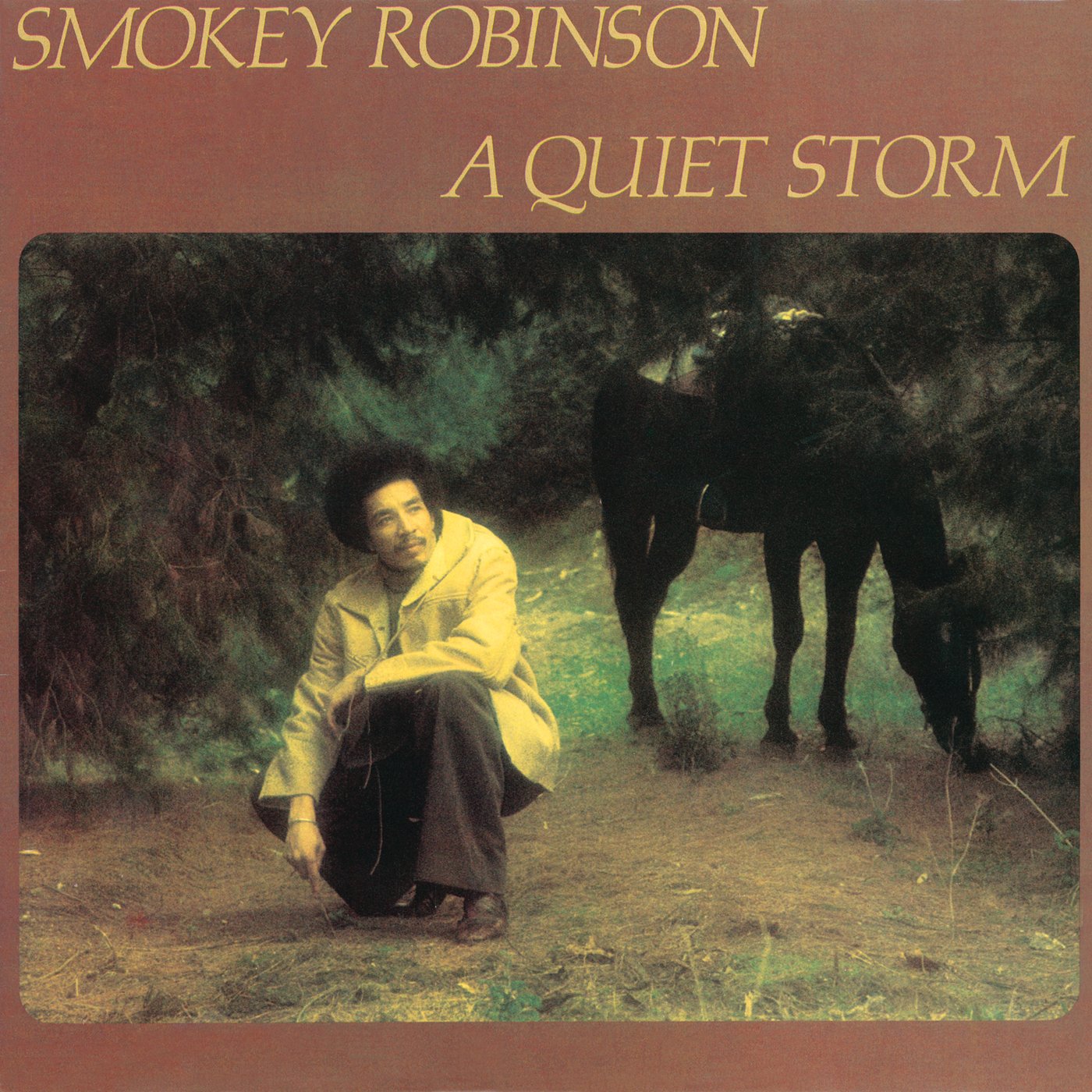 Product Image: A Quiet Storm