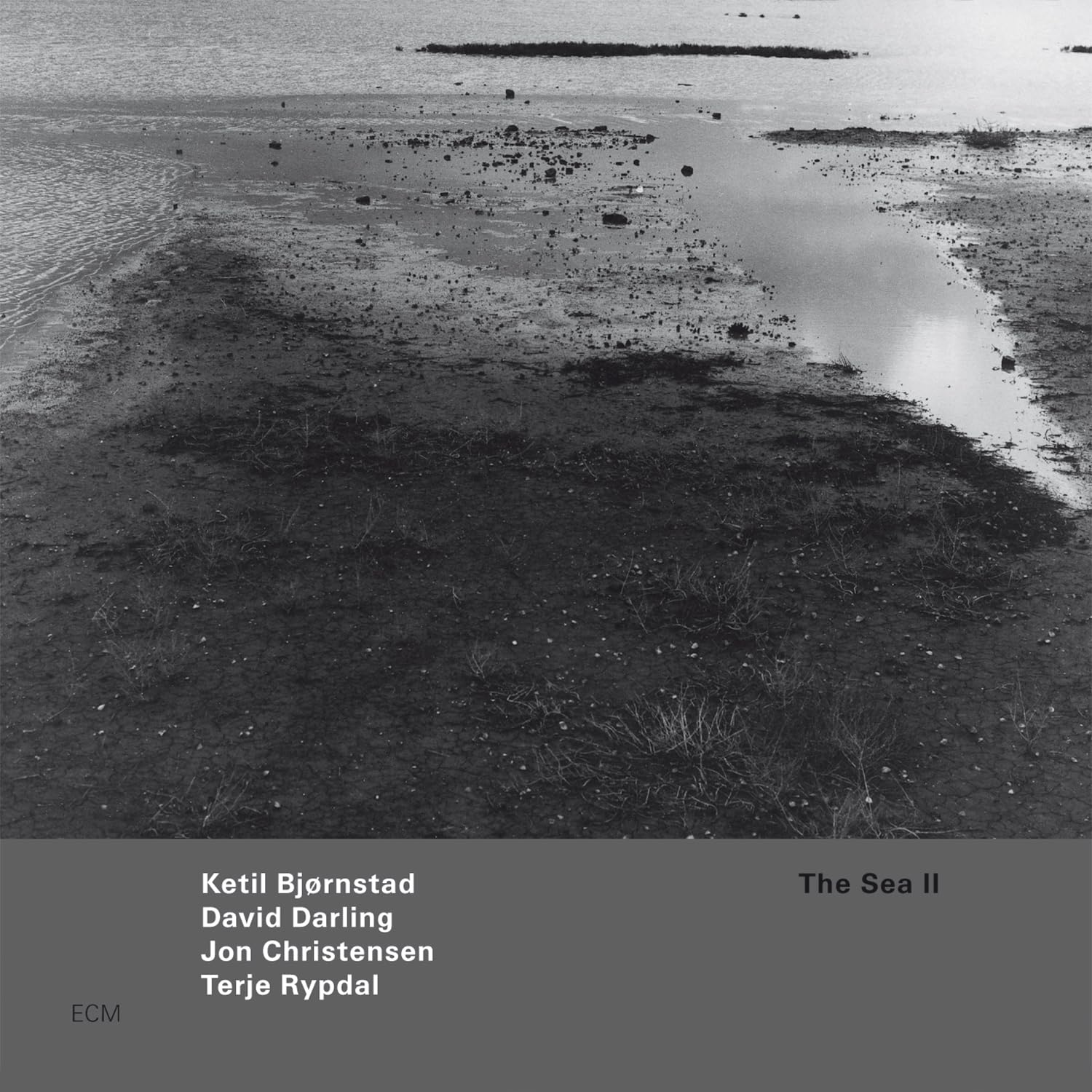 The Sea II Jazz