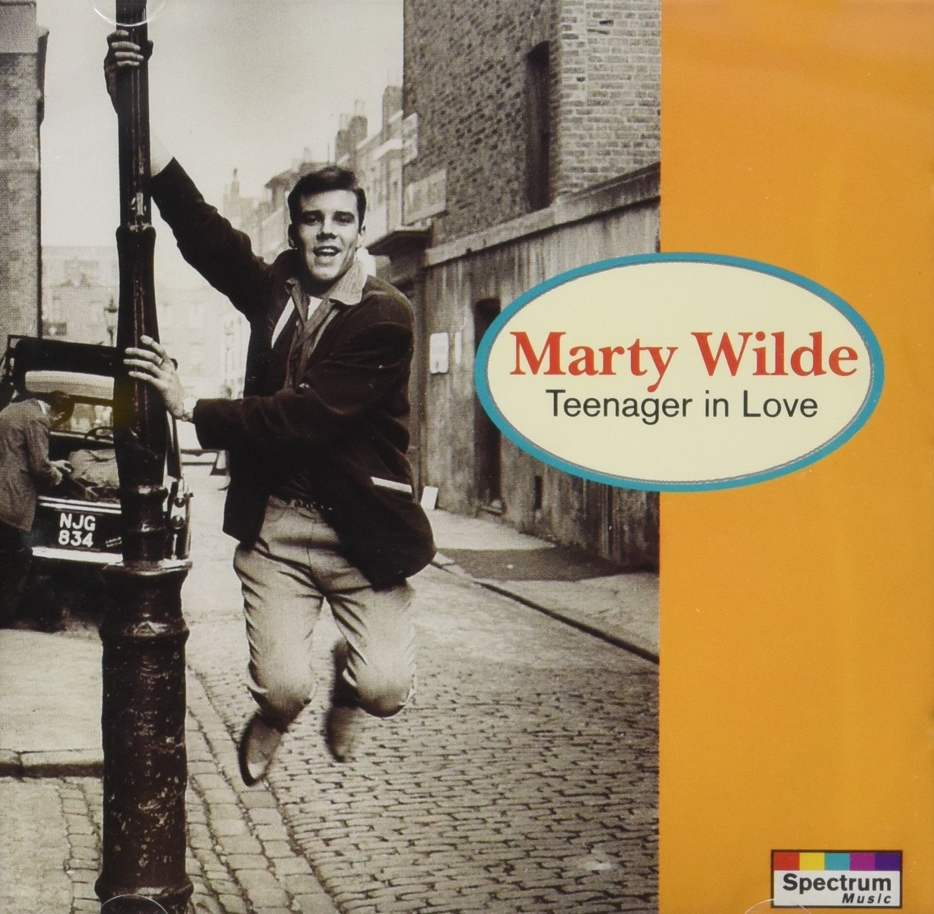 Teenager in Love Pop