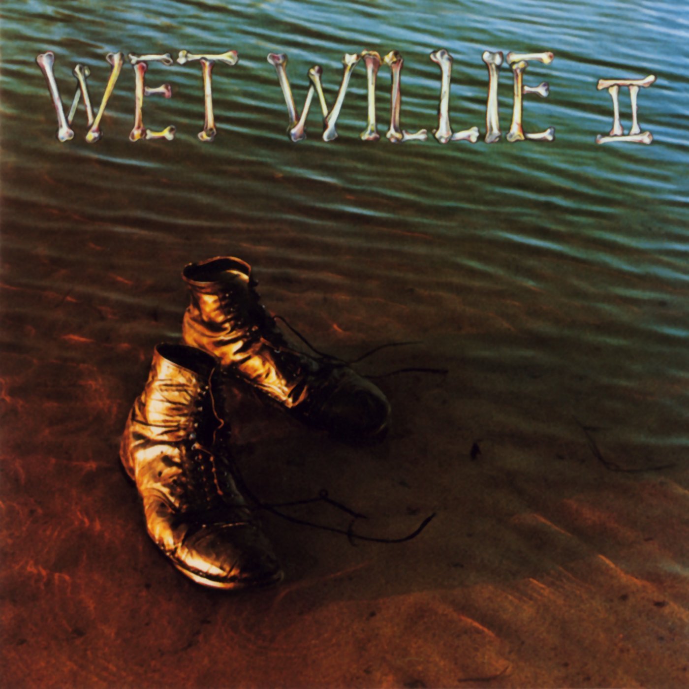 Product Image: Wet Willie II