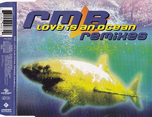 Product Image: Love is an ocean (Remix)
