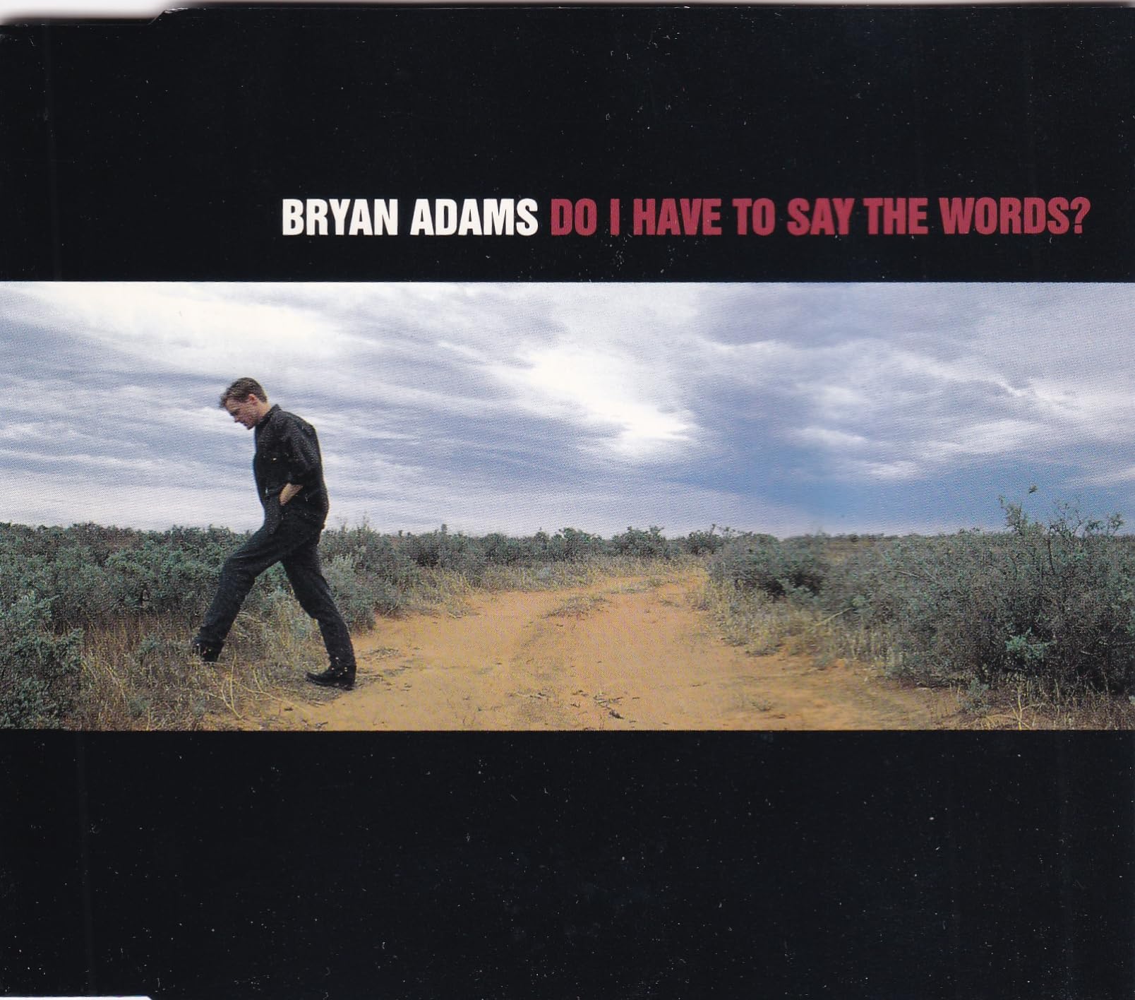 Do I have to say the words? (plus 3 live tracks) Music