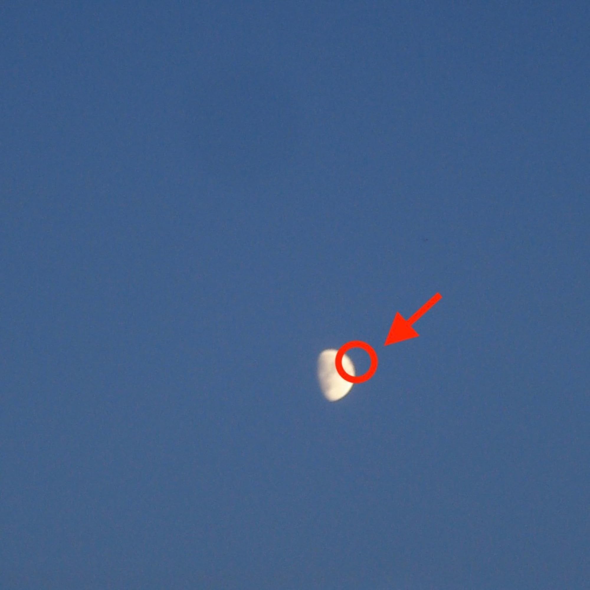 Product Image: FAKE MOON