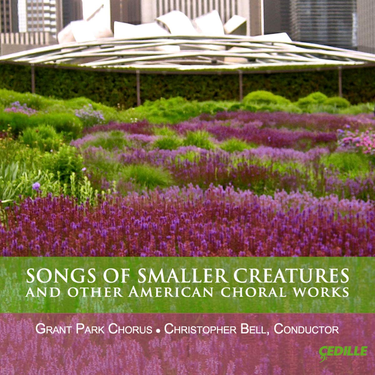 Songs of Smaller Creatures Classical