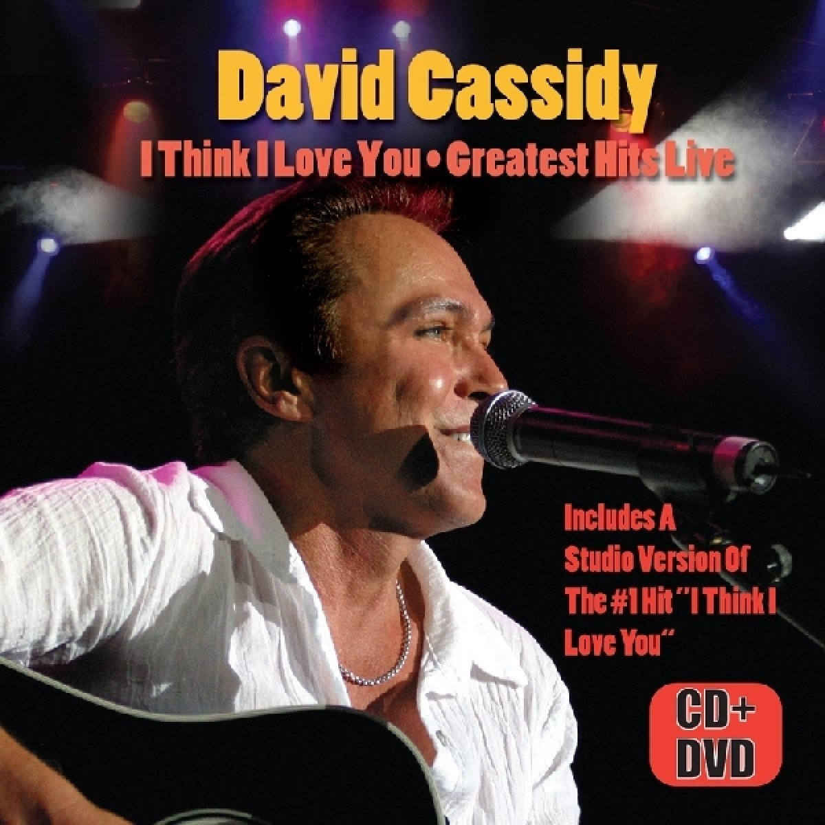 I Think I Love You-Greatest Hits Live Rock