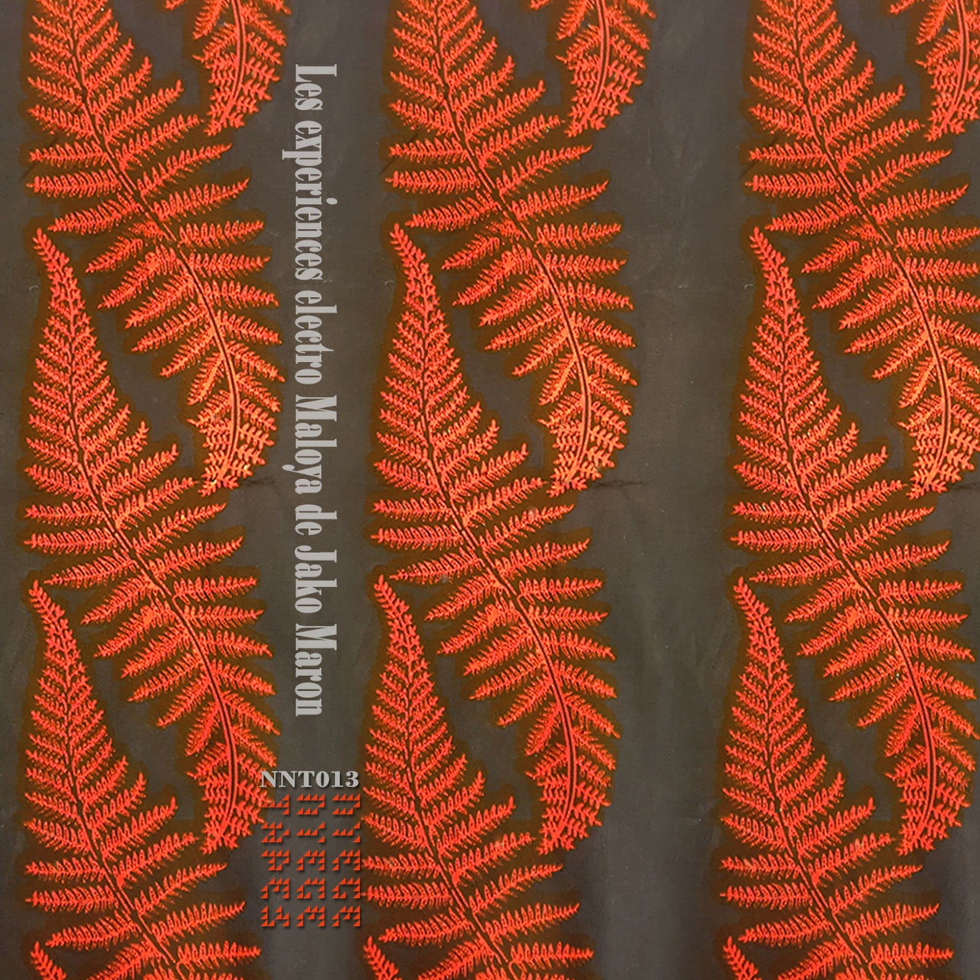 The Electro Maloya Experiments of Jako Maron (Red Rock