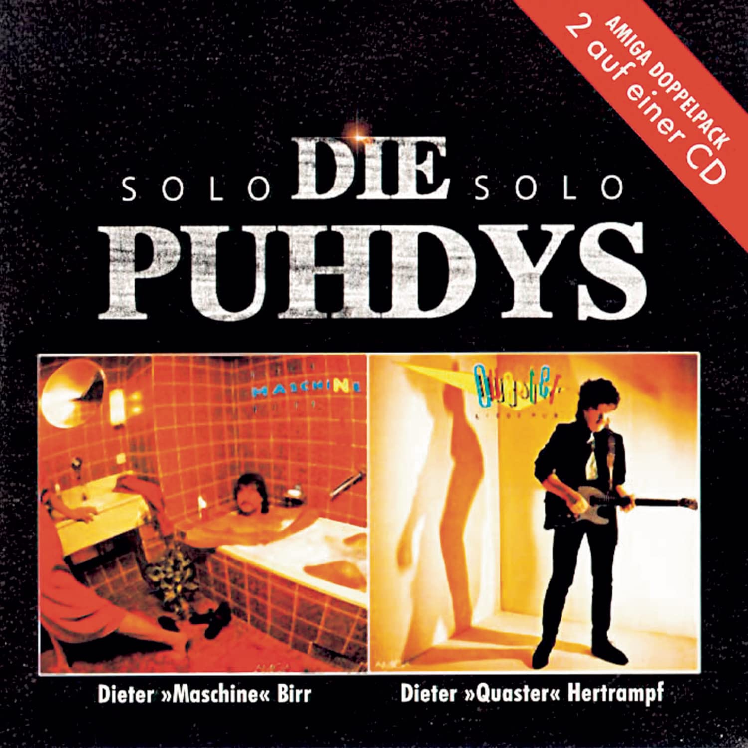 Die Puhdys Solo (Intim & Liebe Pur) Pop