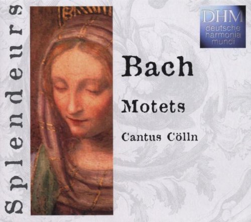Splendeurs: Motets Classical