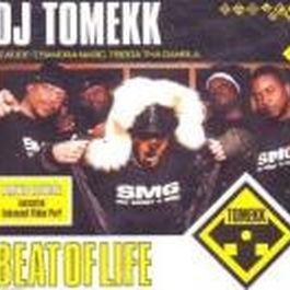 DJ Tomekk feat. Ice-T , Sandra Nasic , Trigger Tha Gambler - Beat Of Life - Modul - 74321 94948 2 Music