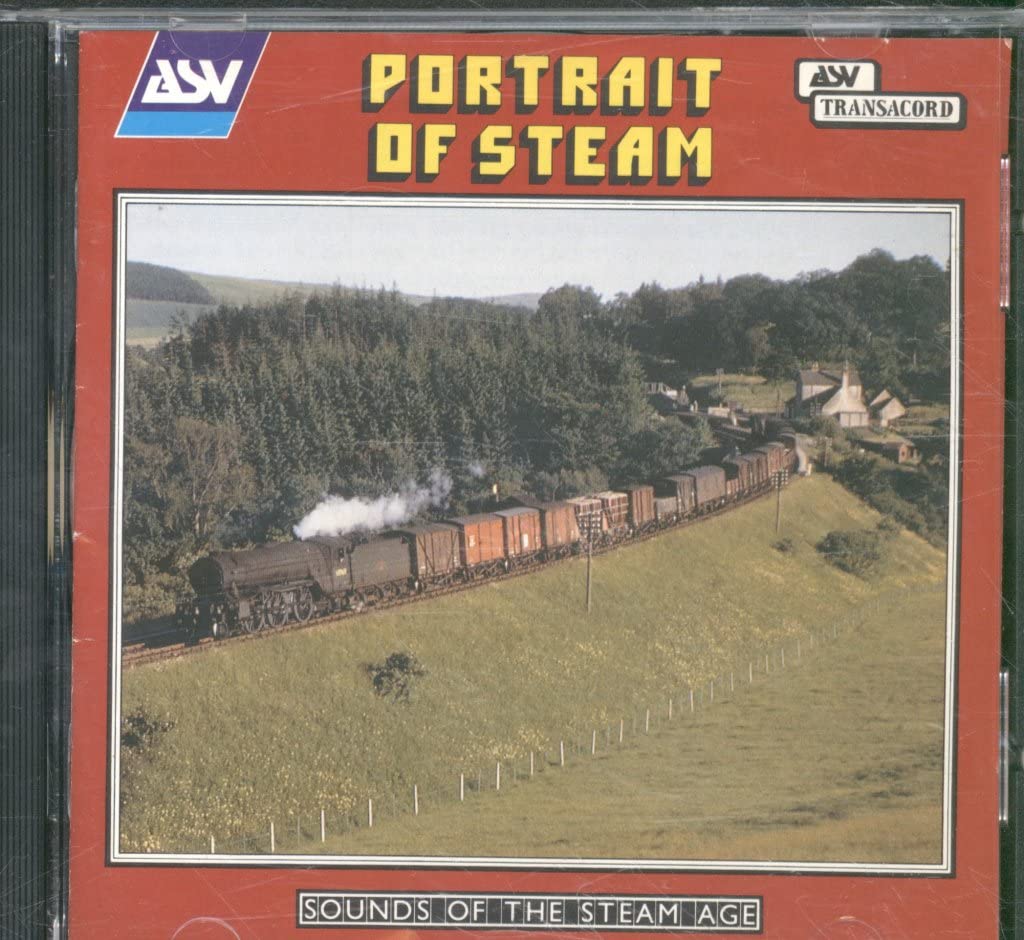 Portrait of Steam Music