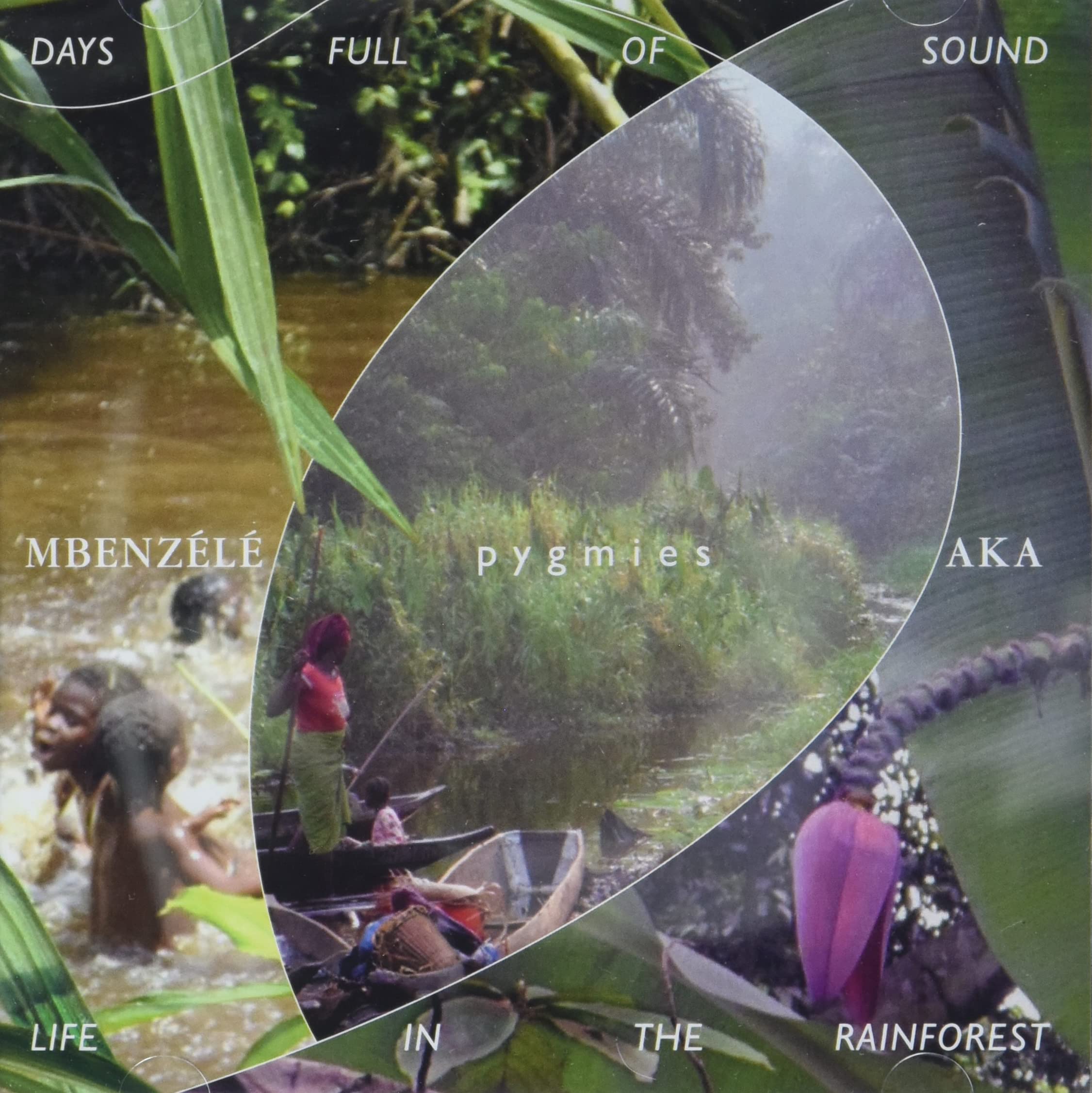 Days Full of Sound Lifein the Rainforest Pop