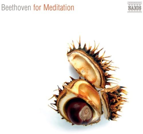 Beethoven For Meditation Classical
