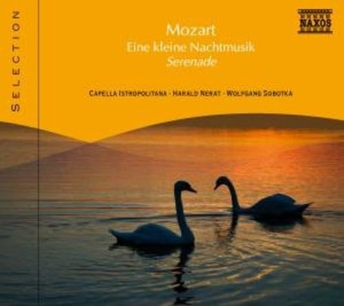 Eine Kleine Nachtmusik Classical