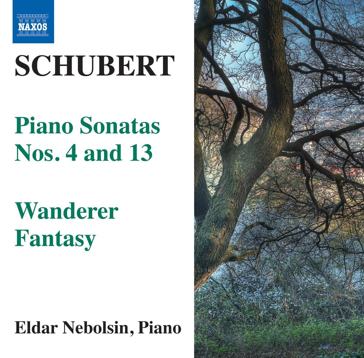 Klaviersonaten 4+13/Wanderer-Fantasie Classical