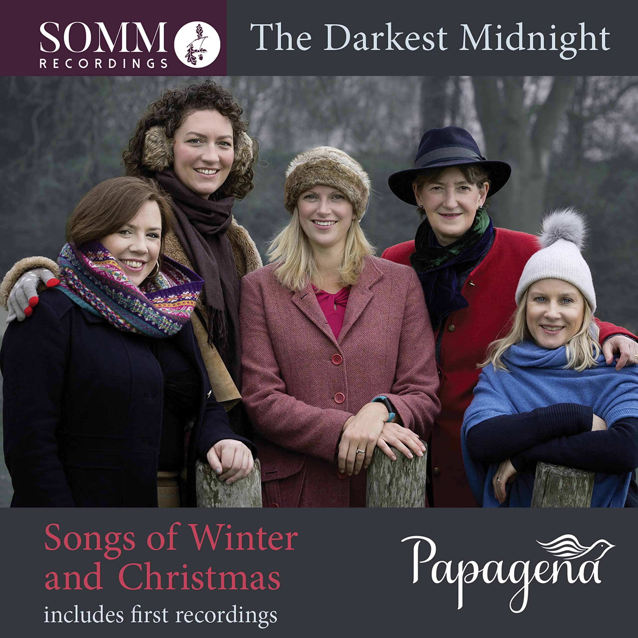 Product Image: The Darkest Midnight