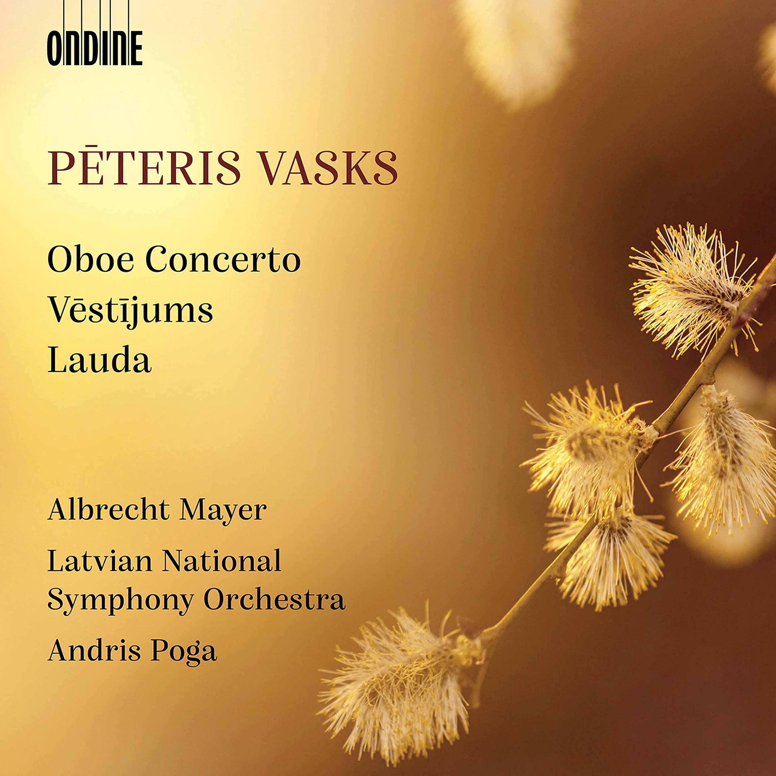Konzert für Oboe und Orchester Classical
