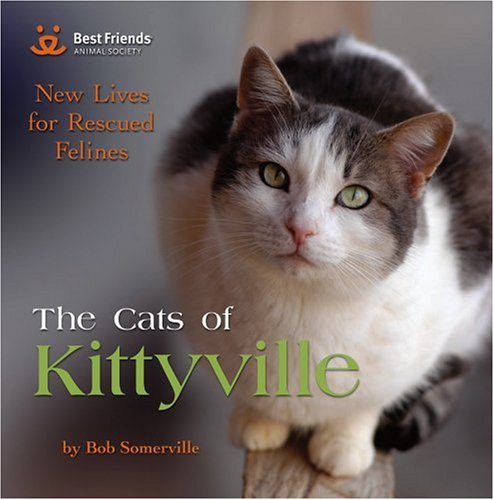 The Cats of Kittyville: New Lives for Rescued Felines Pets