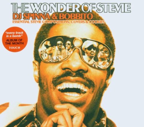 The Wonder of Stevie - DJ Spinna & Bobbito Jazz
