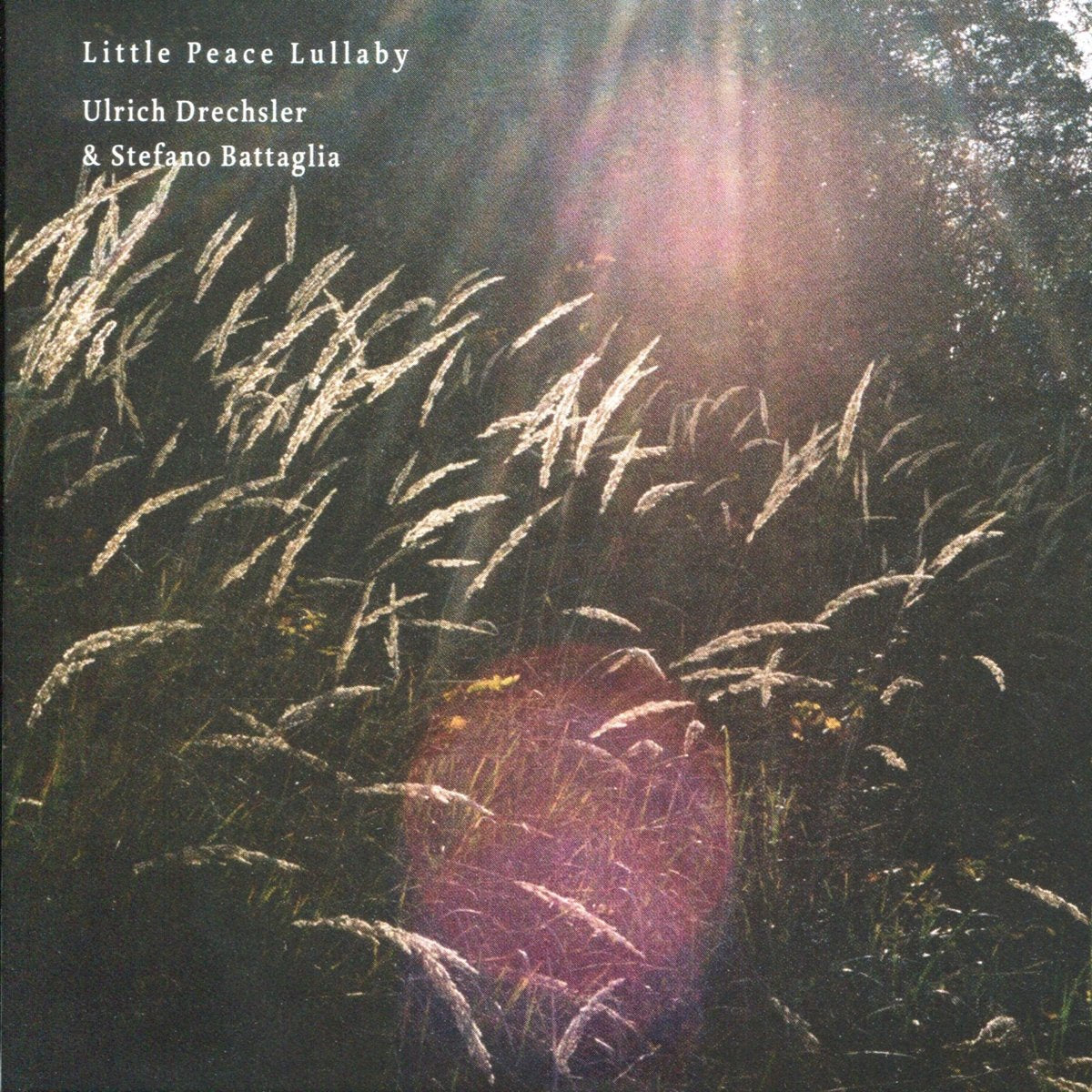 Little Peace Lullaby cd