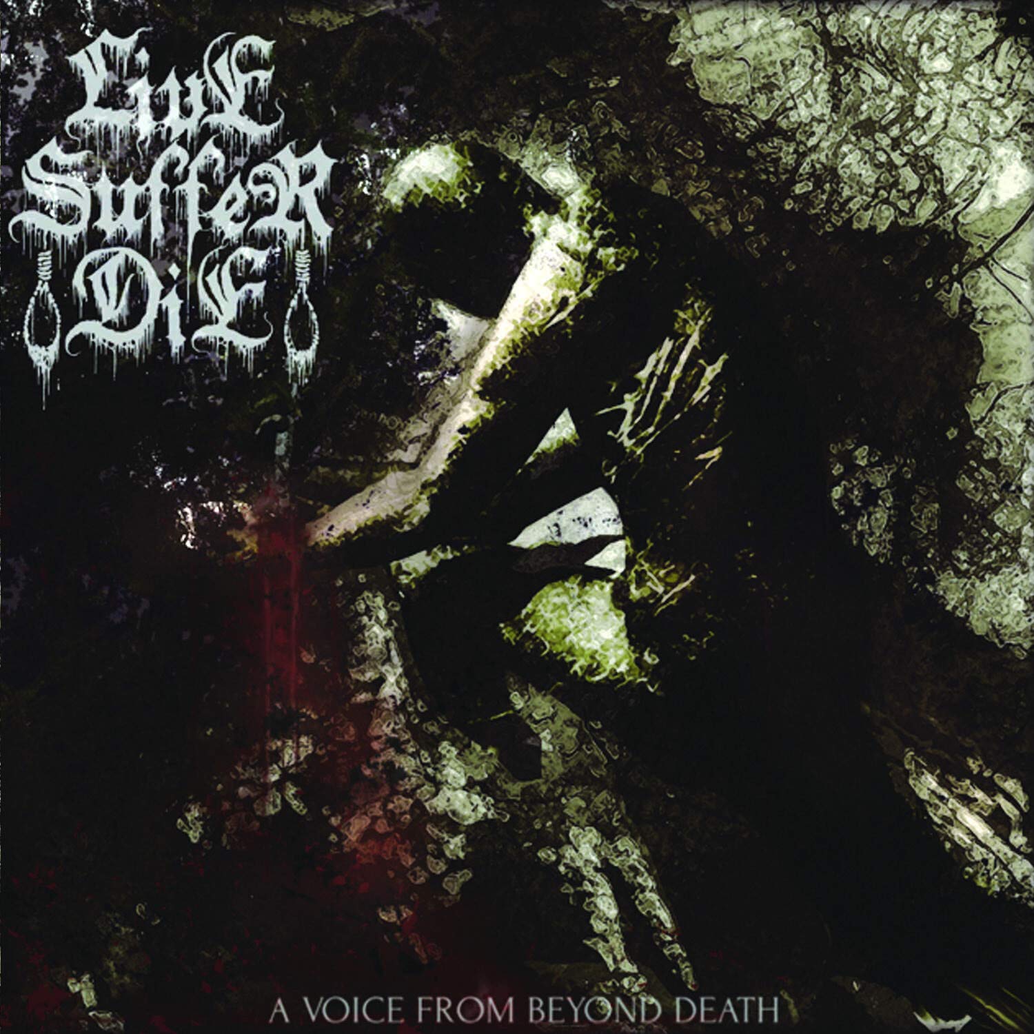 Product Image: A Voice From Beyond Death