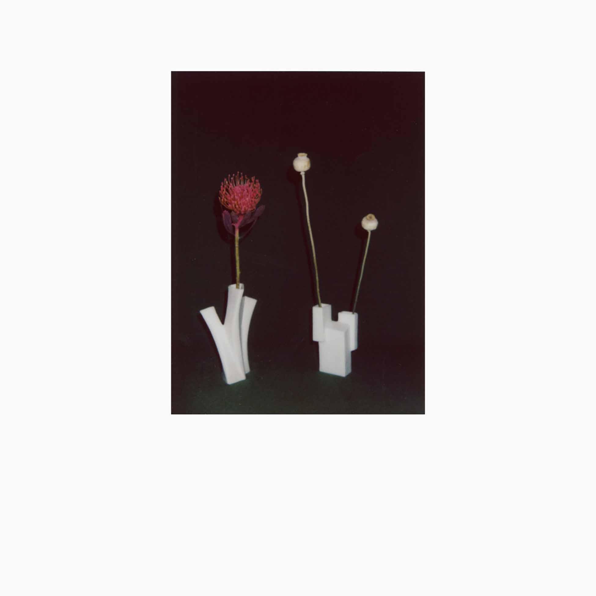 Flower and The Vessel cd