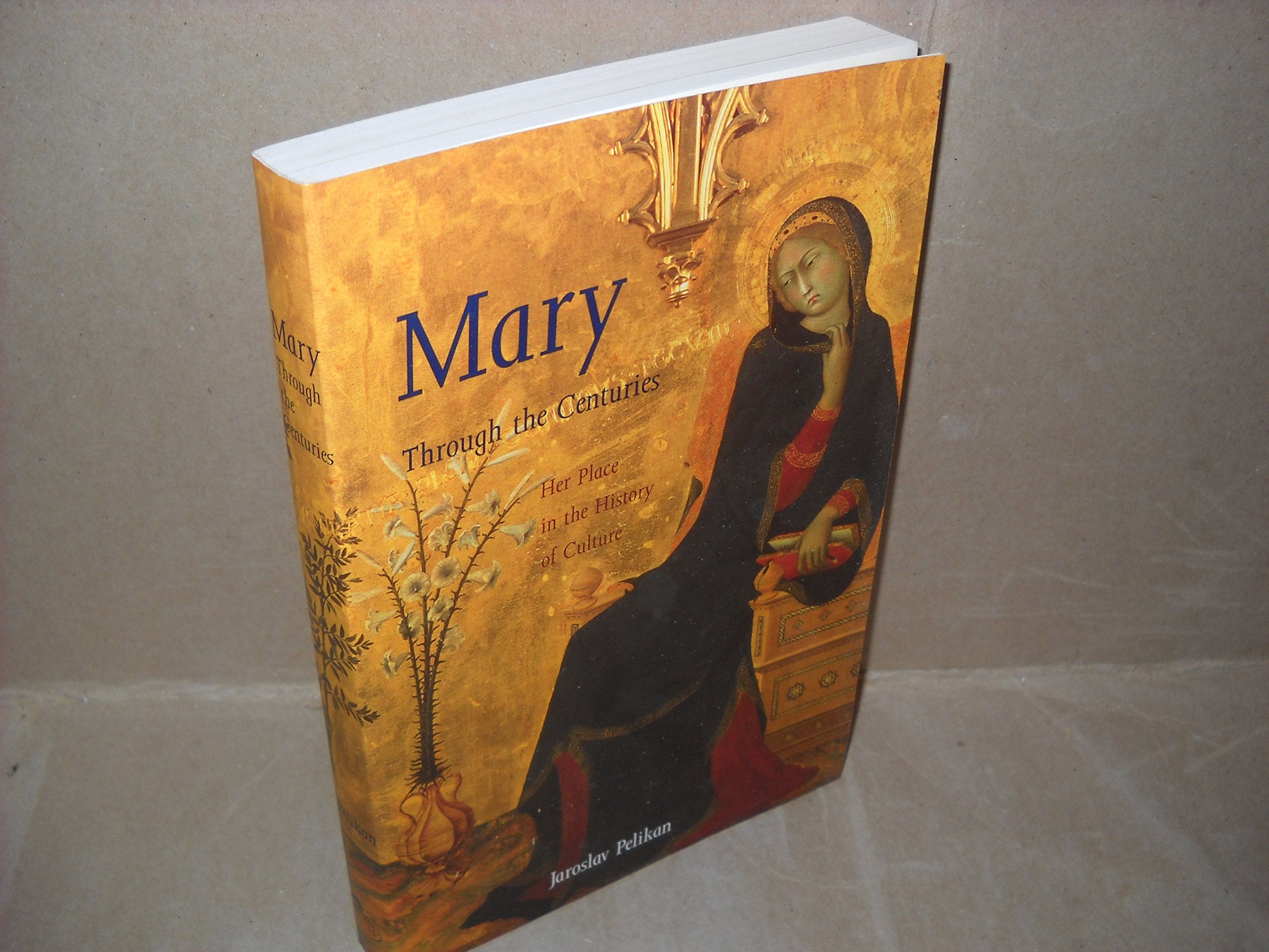 Mary Through the Centuries: Her Place in the History of Culture Religion & Esotericism