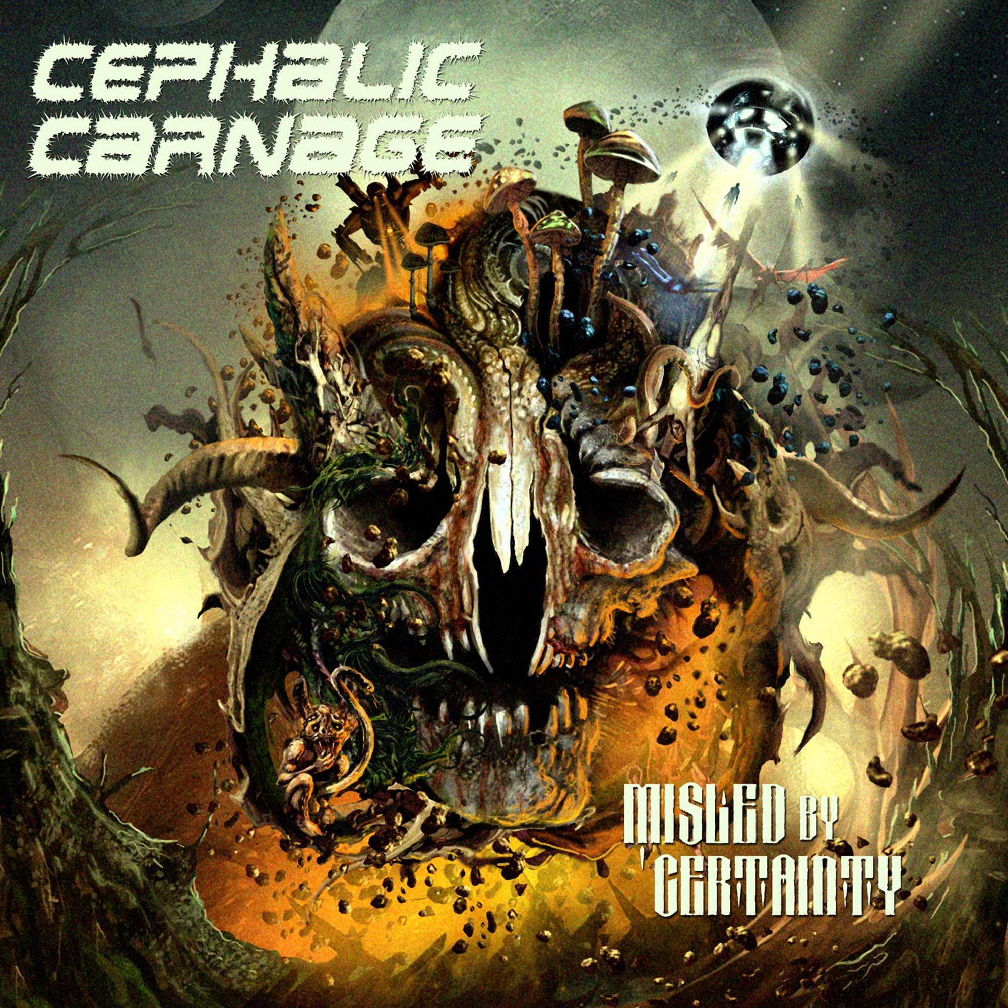 Misled By Certainty Metal & Hardrock