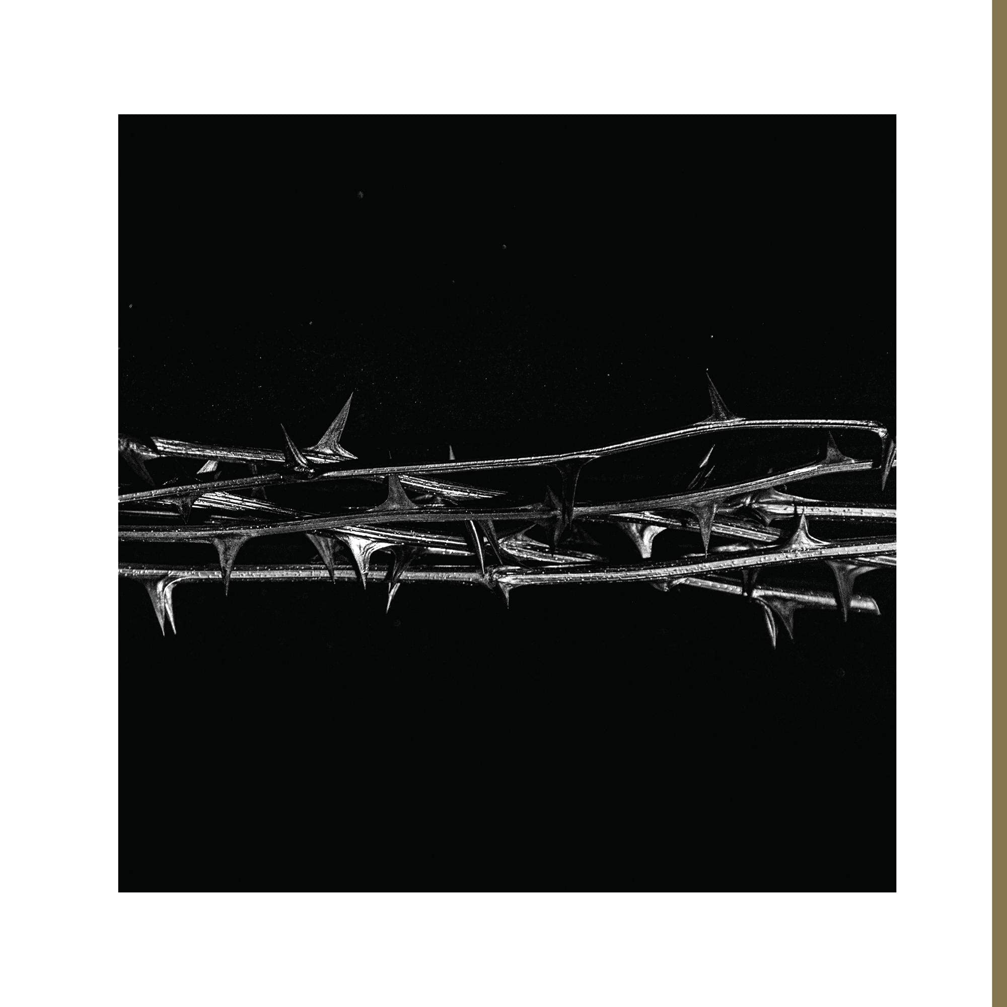 Product Image: De Doorn - Gold Vinyl