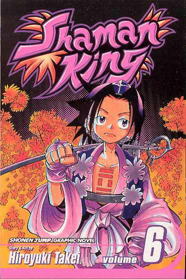 Shaman King Volume 6 (SHAMAN KING TP, Band 6) Manga