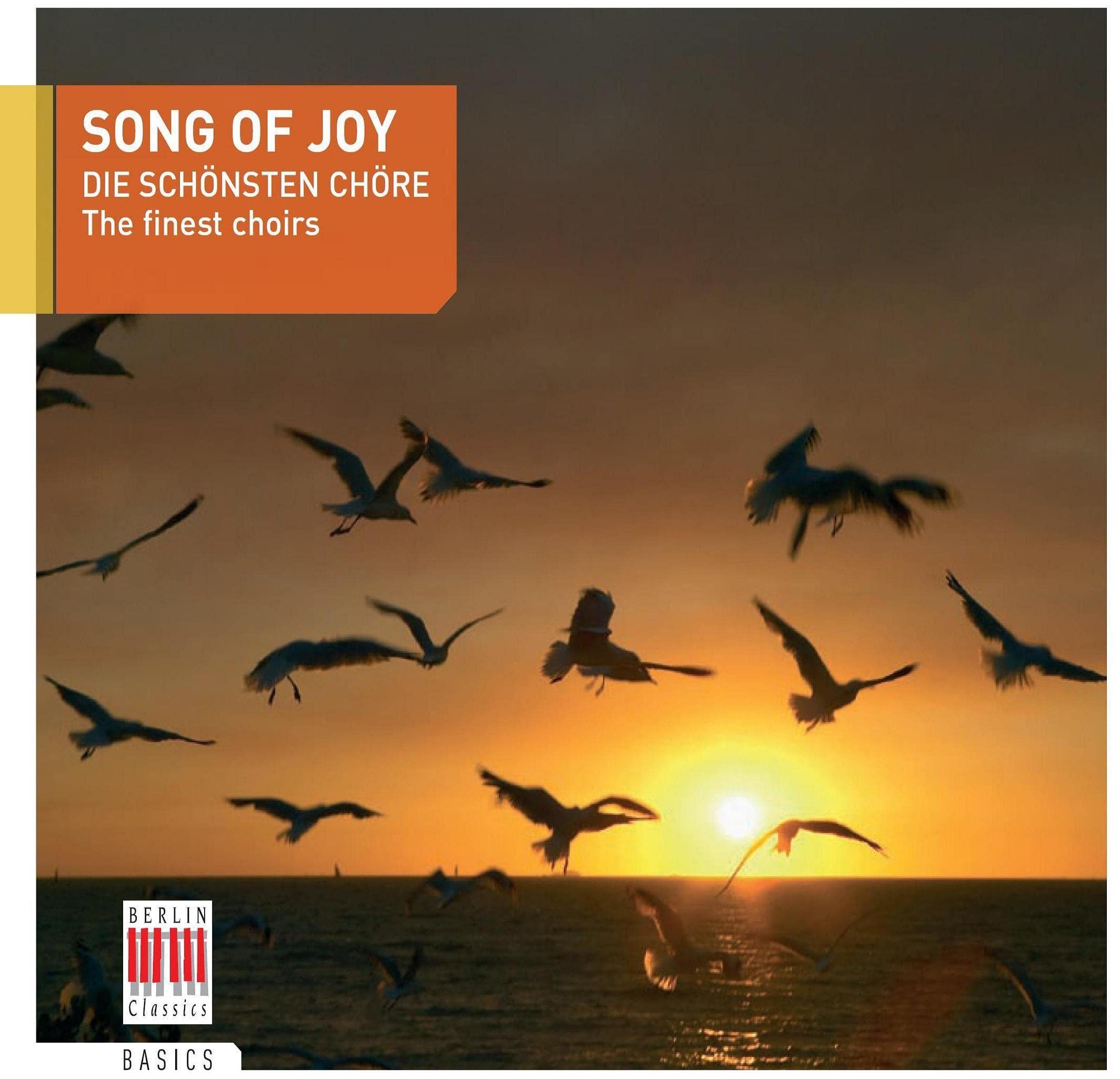 Song of Joy-die Schönsten Chöre Rock