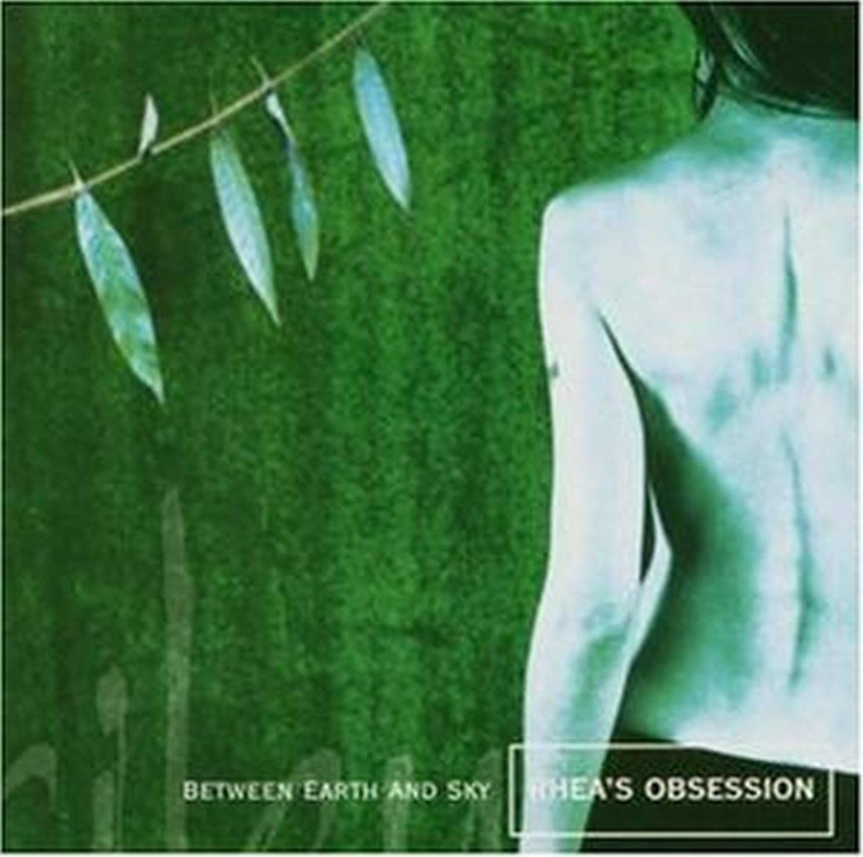 Product Image: Between Earth and Sky