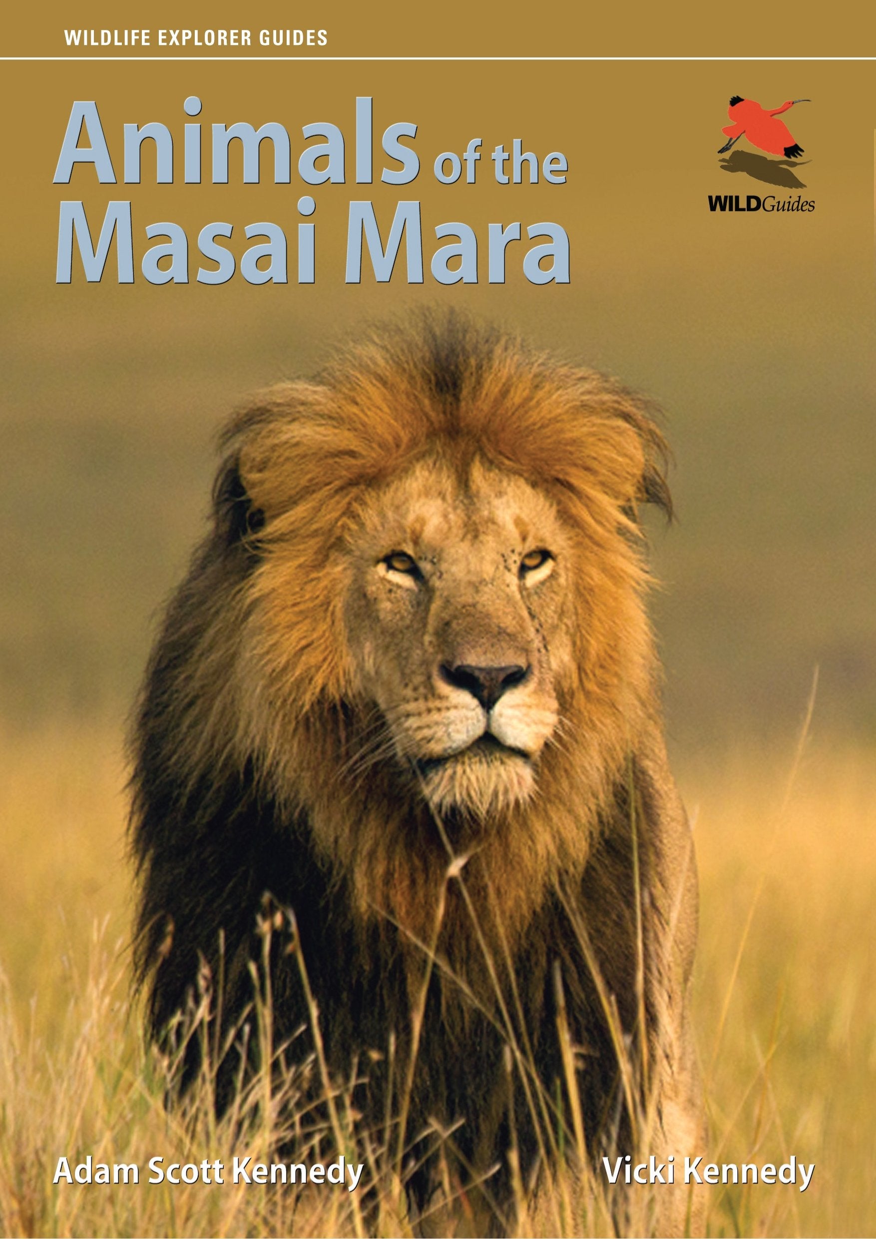 Animals of the Masai Mara (Wildlife Explorer Guides) Mathematics