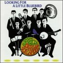 Looking for a Little Bluebird Jazz