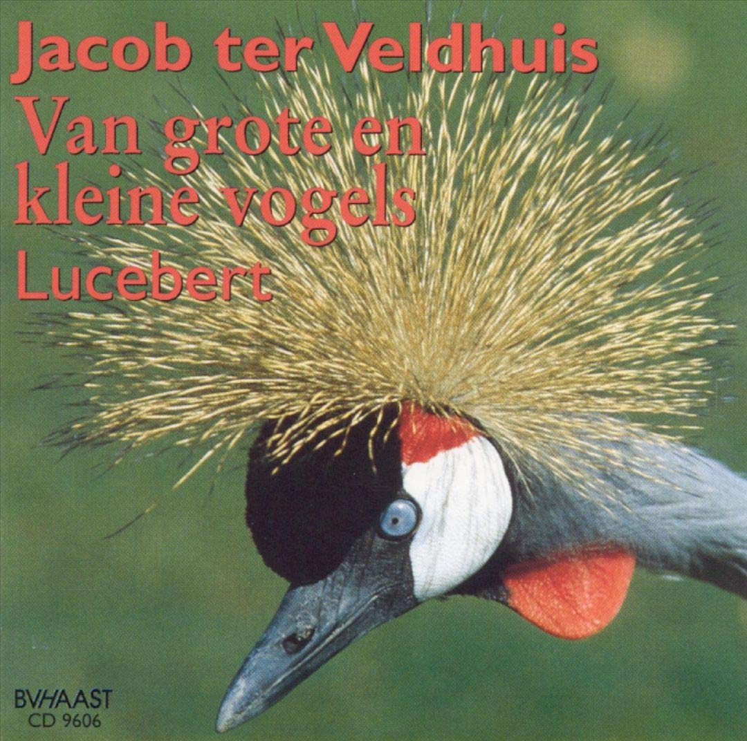 Van Grote en Kleine Vogels Jazz