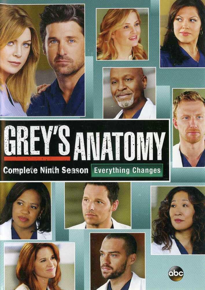 Grey's Anatomy: The Complete Ninth Season (6pc) Box sets