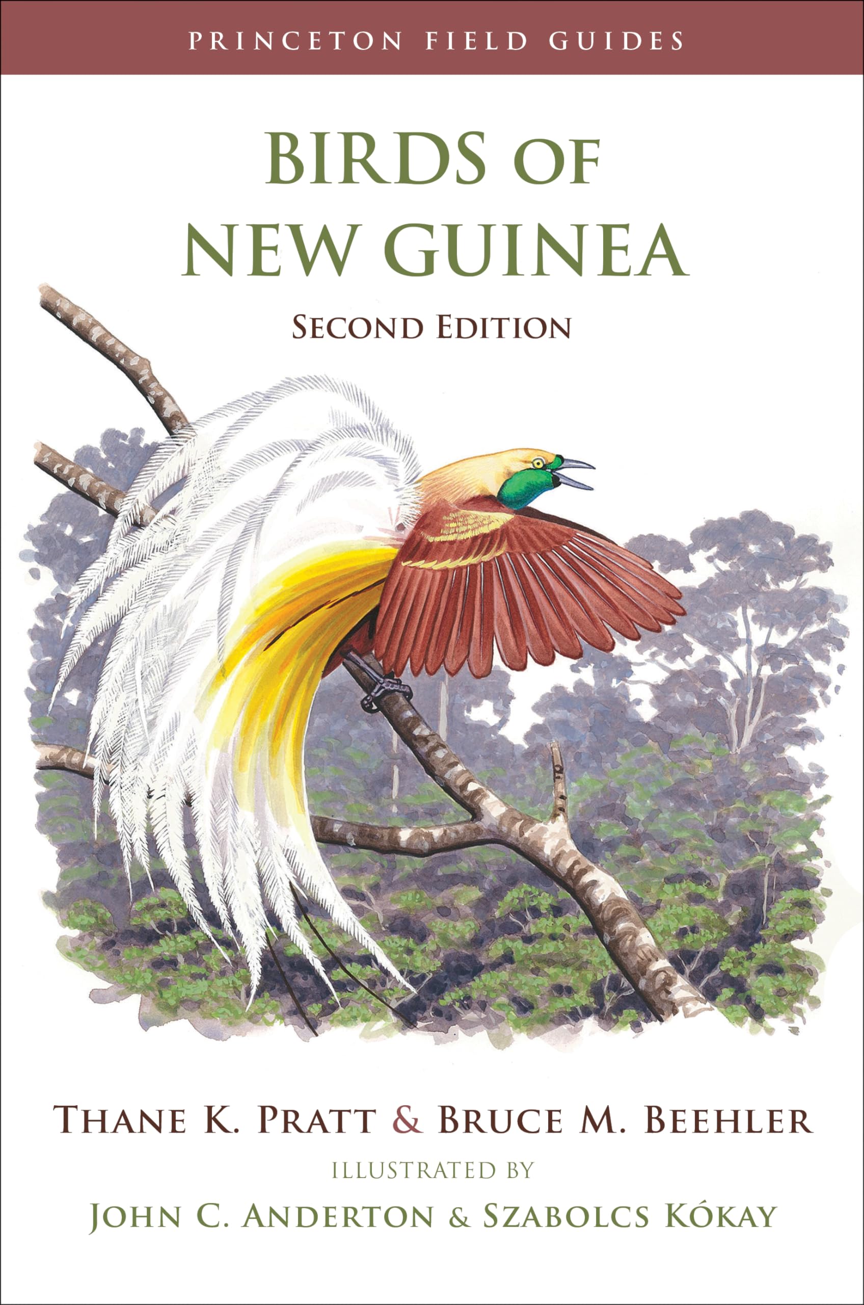 Birds of New Guinea: Second Edition (Princeton Field Guides) Leisure, Home & Garden