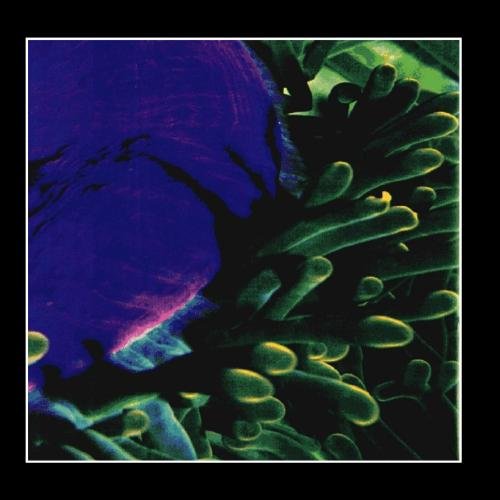 Light Music for Dying People Alternative & Indie