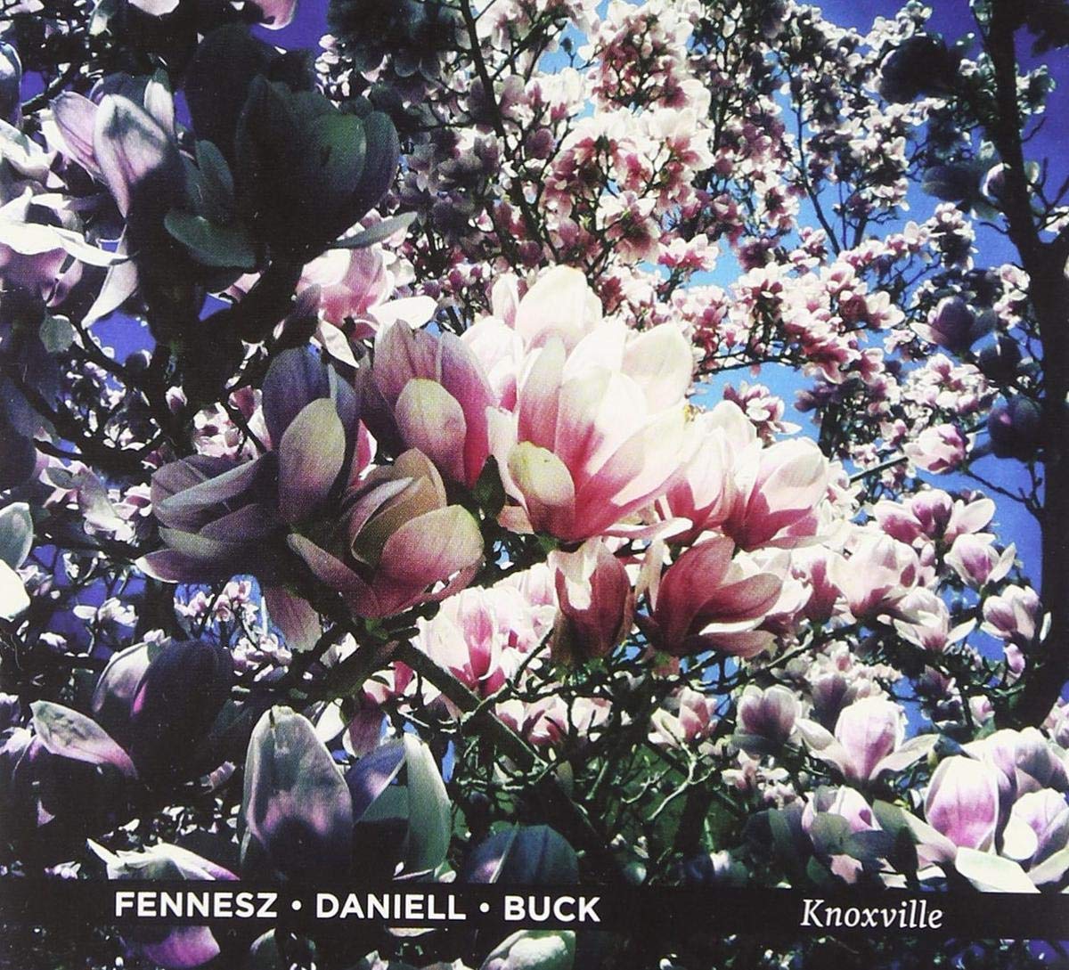 Knoxville cd