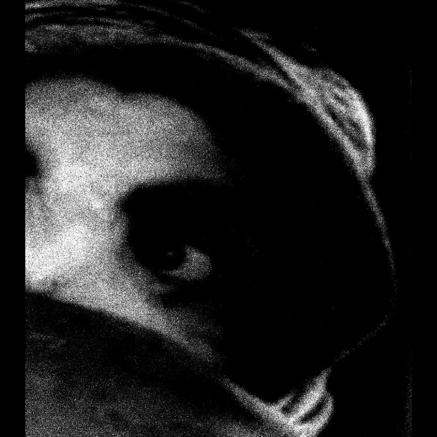 The Crying Out of Things Alternative & Indie