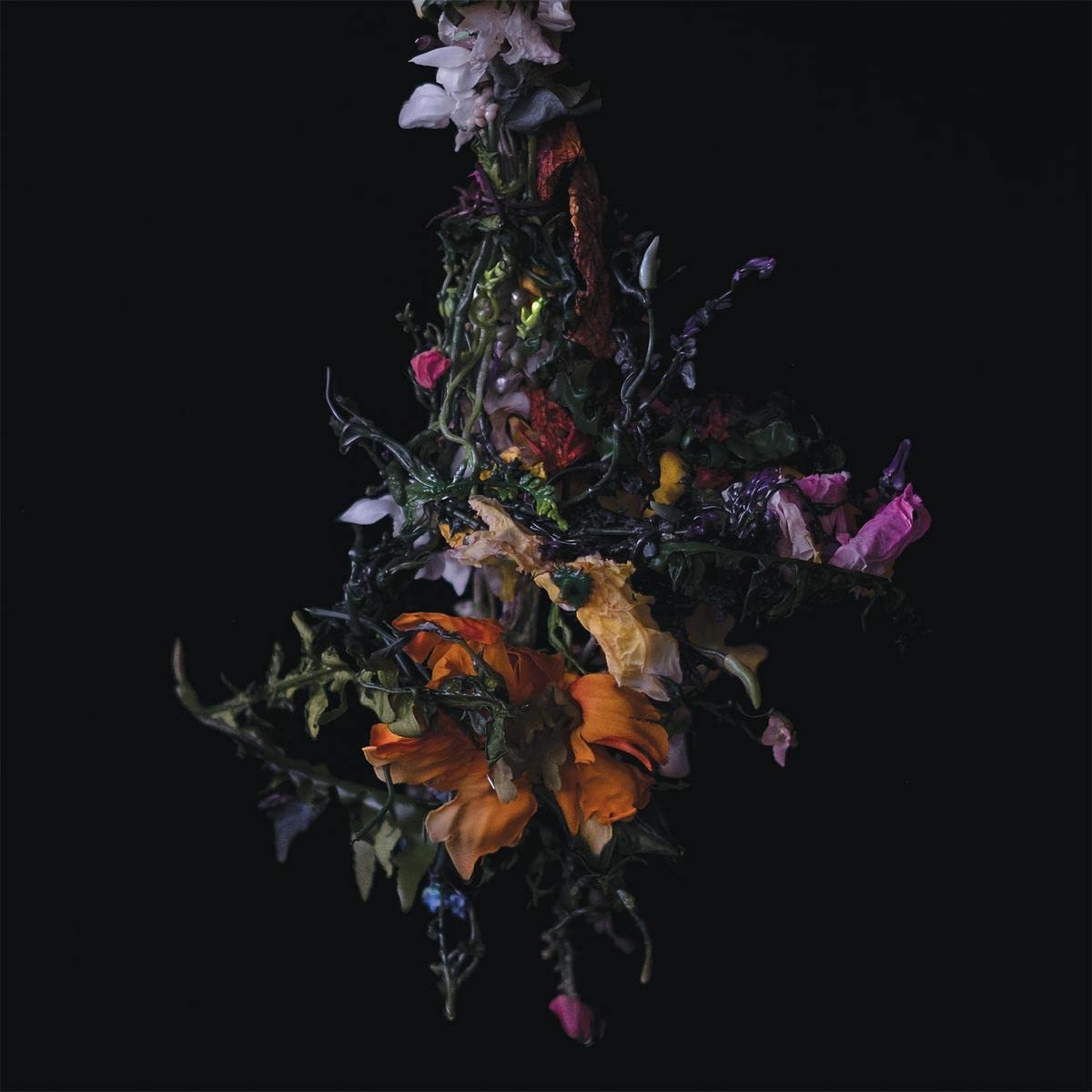 Nature Morte Metal & Hardrock