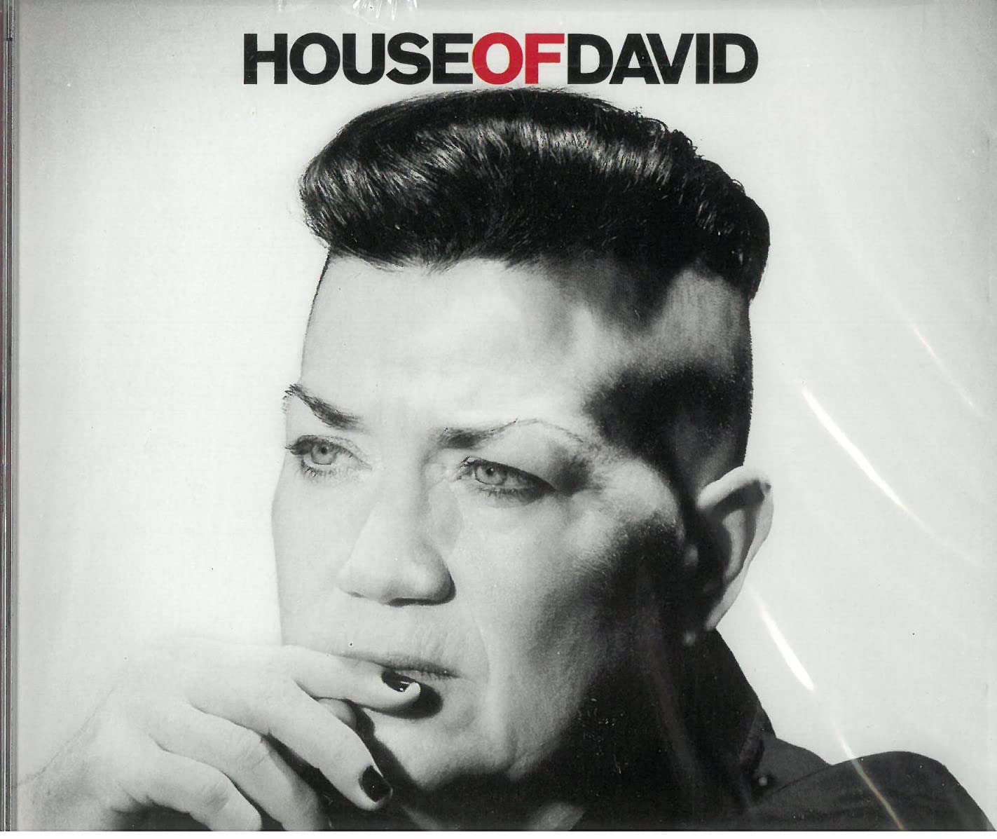 Lea Delaria - House Of David cd