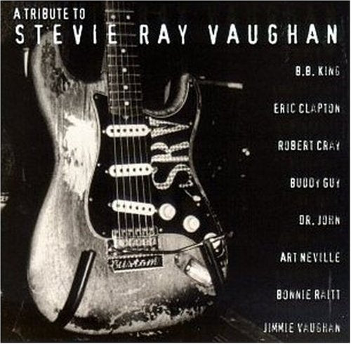 Tribute to Stevie Ray Vaughn Blues