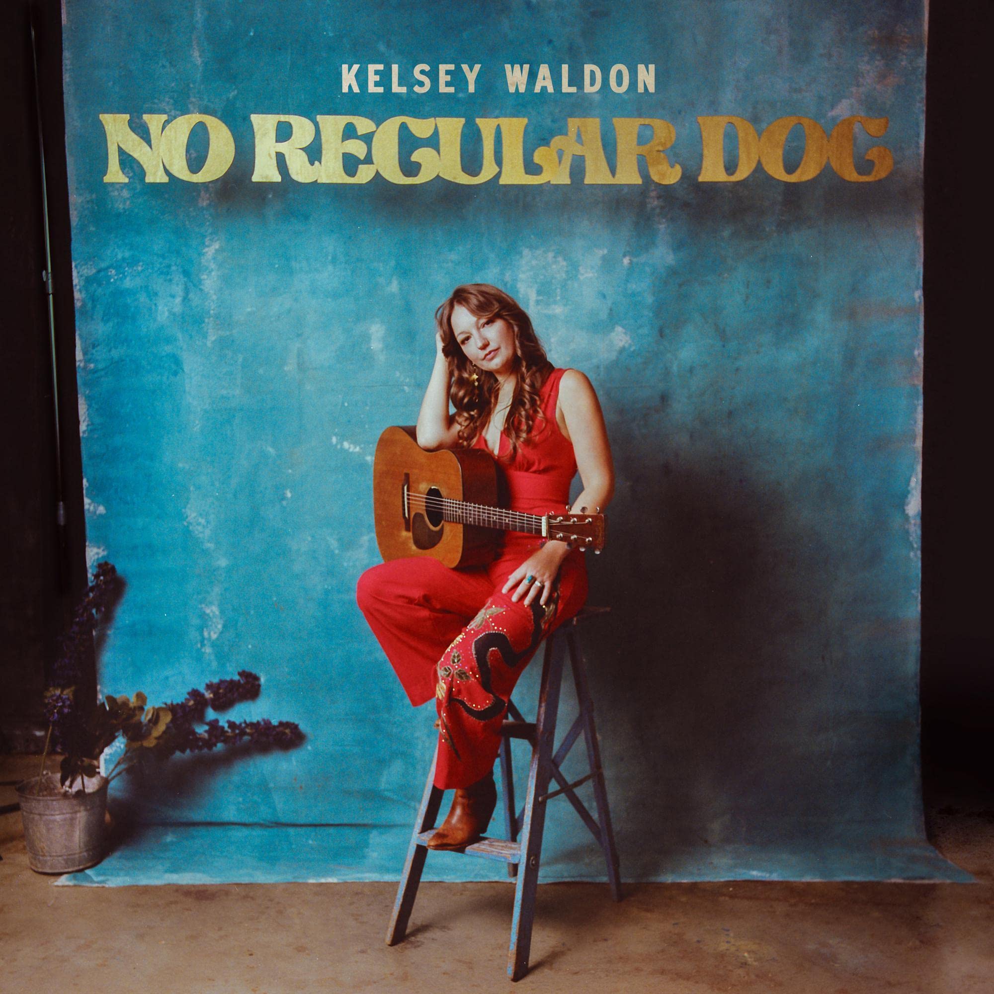 Product Image: No Regular Dog