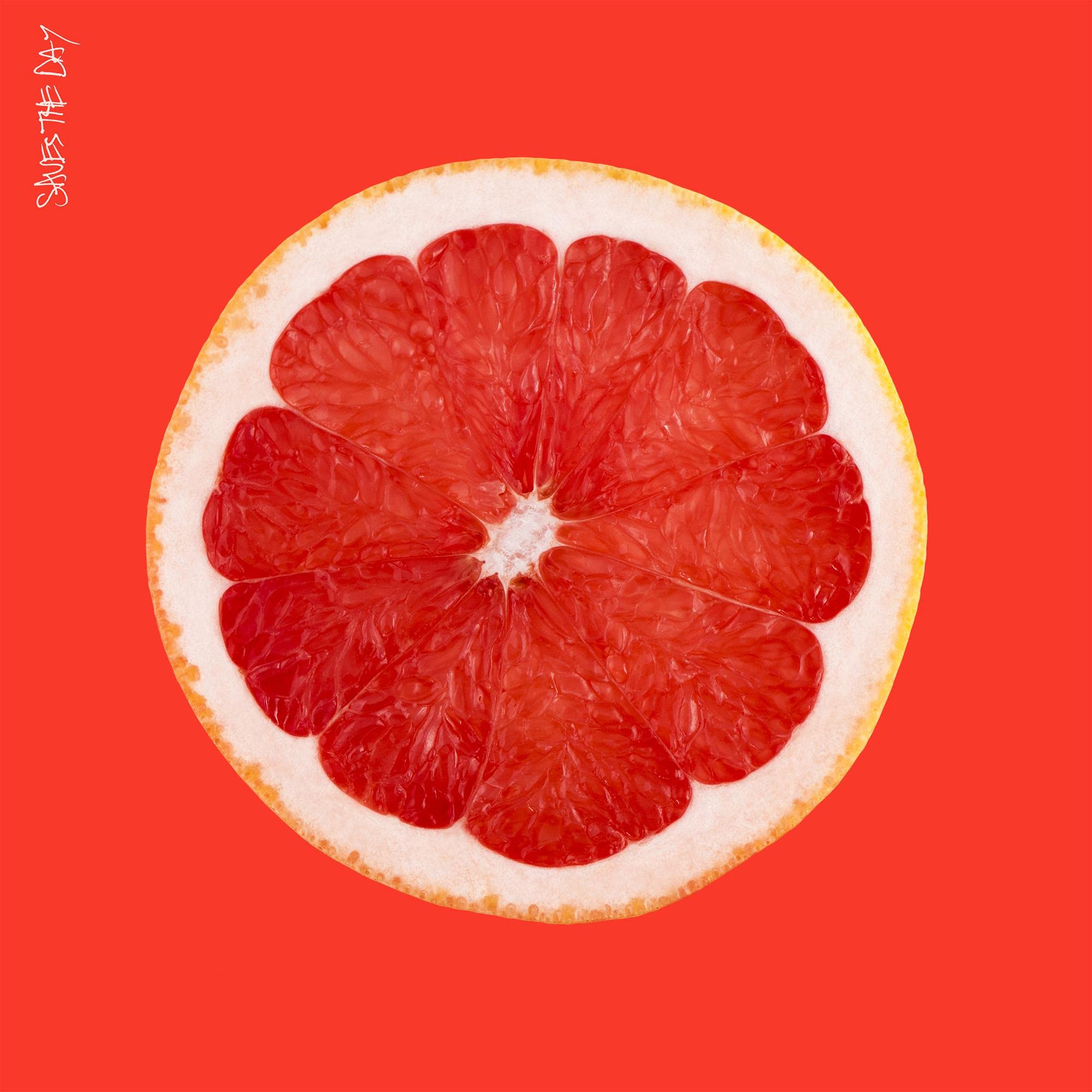 Saves The Day - Saves The Day Alternative & Indie