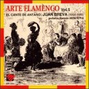 Arte Flamenco Vol.5-Juan Bre Classical